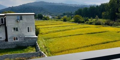 ویلای تریبلکس مدرن چمستان ۴ خواب مستر استخر