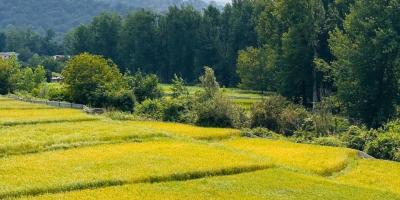 ویلای تریبلکس مدرن چمستان ۴ خواب مستر استخر