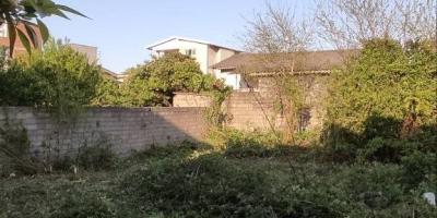 زمین شهری چمستان پروانه ساخت
